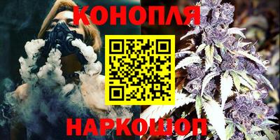 стафф Будённовск
