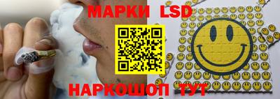 стафф Будённовск