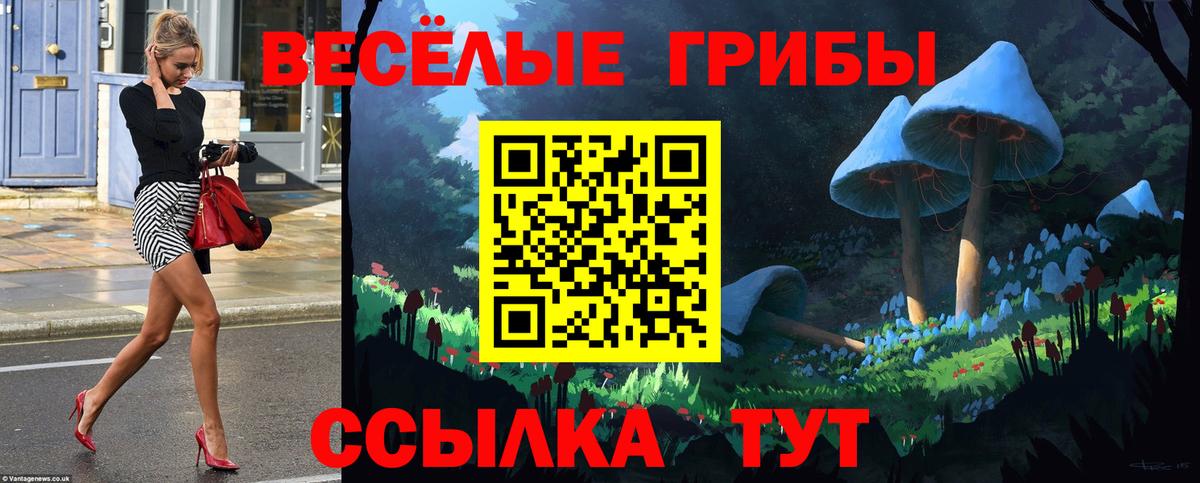 Псилоцибиновые грибы прущие грибы Протвино