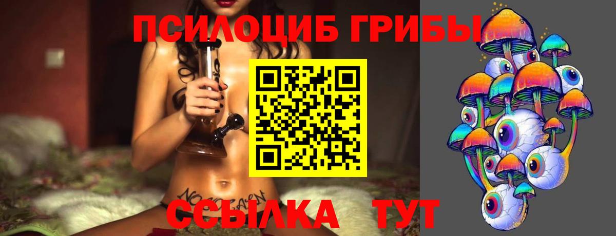 Протвино  Галлюциногенные грибы Cubensis  Вход с VPN  купить наркоту  Псилоцибиновые грибы MAGIC MUSHROOMS 